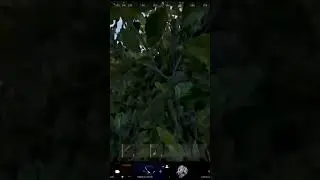 #раст