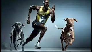 These Dogs Can Run Faster Than Usain Bolt!