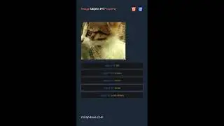 Image Display with CSS A Guide to Object Fit Property