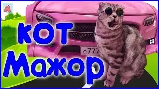 НАШ КОТ МАЖОР И ЕГО СМЕШНЫЕ ИСТОРИИ/OUR CAT MAJOR AND HIS FUNNY STORIES/funny cats