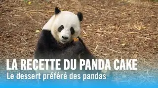 La recette du Panda Cake
