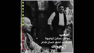 حالات واتساب✨ مقالات وحكم النمس تصميم باب الحاره❤