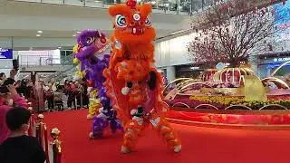 GONG XI FA COI 2023