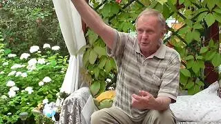 Как сбивали Пауэрса, рассказ участника событий