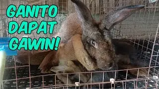 Ganito Dapat Gawin Para Mabilis Ang Recovery