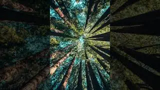 Focus Music for School Work [ 3 Hours of Concentration Music for Studying and Reading ]