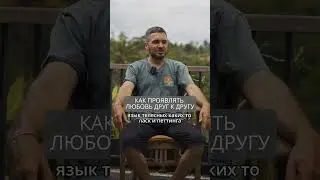 Как проявлять любовь друг к другу