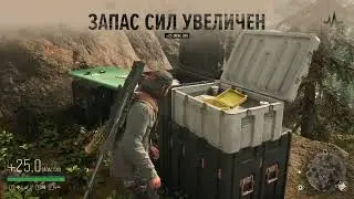 Days Gone 