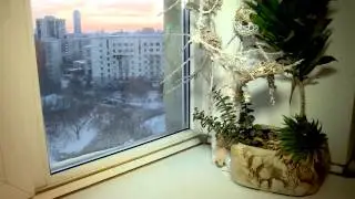 Почему плачут пластиковые окна