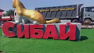 Силовой экстрим 88 т. 800кг.пробный подход перед установкой рекорда.Сибай новый мировой рекорд.