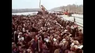 золотое звено
