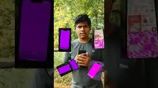 iphone 13 pink screen issue? |software bug|தமிழ்