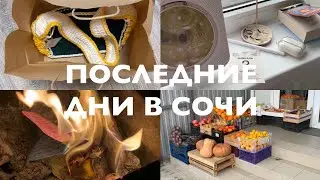 Прощание с городом и друзьями.. Мои последнии дни в Сочи!