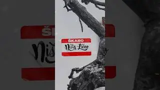 Sutra tačno u podne 🔹Škabo - Ništa Lično🔹