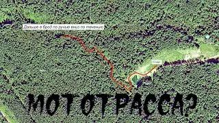 Сентябрь 2024-го. В Зареченском городском лесу по дну оврага Чемодан начали прокладывать мототрассу