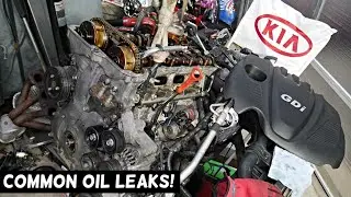 MOST COMMON OIL LEAK LEAKS ON KIA OPTIMA