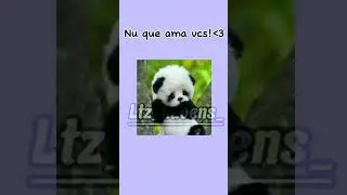 cante se achar fofinho🥺🥺n gostei,deixa o like pfvv