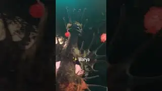 Meow Wolf Denver: Creatures of Numina | Part 3