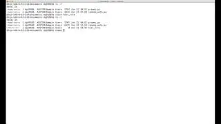 File permissions