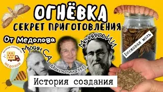 Готовим экстракт ОГНЕВКИ (восковой моли) личинки, ПЖВМ. История, пропорции, концентрация, рецепт