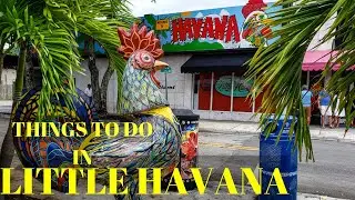 Things to do|See|Shop|Eat|Drink in Little Havana#miamilife #lifeinamerica#littlehavana