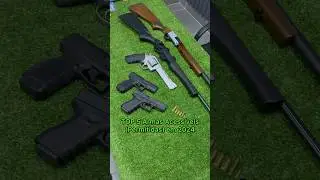TOP 5 Armas Acessíveis em 2024 #shorts
