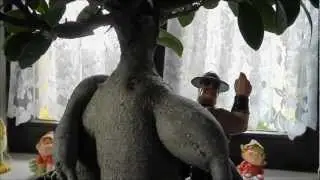 Tree Bicep