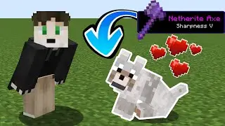 Minecraft but WOLVES GIVE OP ITEMS