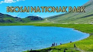 Deosai National Park | Deosai Park | Deosai Skardu | Gilgit Baltistan | Deosai Road | Skardu Road