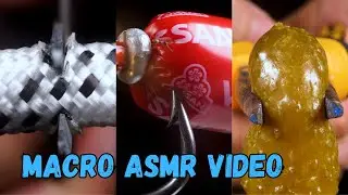 Best ASMR Macro Videos | Every Object Up Close | Satisfying Videos