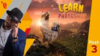 How To create Social Media Designs from scratch - 003 Photoshop Bird - Wasim Shabana