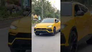 Elvish Yadav Vs Mr Faisu Car Collection 