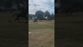 "B TROOP" 4th U.S Cavalry charge this morning. Fort Huachuca, Arizona. #shorts #army #military
