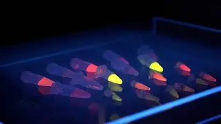 Copp Lab/Soft Matter Photonics Lab, University of California, Irvine