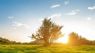 Relaxing Music   Non Copyright Music