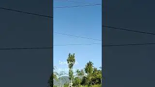 pagi hari