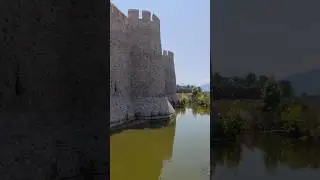 ЧЕРЕПАШКИ ВО РВУ