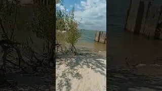 Прогулка по берегу цимлянского водохранилища...