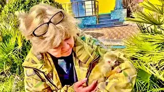 СПАСЕННЫЙ МАЛЫШ саймири прижимается к  Татьяне Ивановне , как к родной маме.