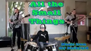 Blink 182 - All the Small Things  (Cover)