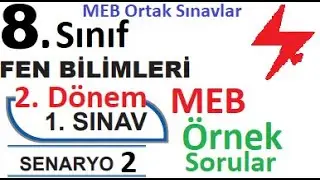 8. Sınıf Fen Bilimleri 2. Dönem 1. Yazılı Örnek Senaryo Çözümleri | Senaryo 2 | MEB Örnek Sınavlar