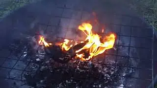 burn DDP single heel/panties