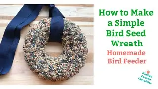 How to Make an Easy Bird Seed Wreath