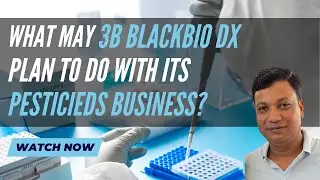 What may 3B Black Bio DX plan to do with its Pesticides Business? | What do numbers suggest?