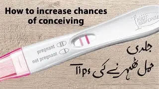 How to increase chances of conceiving (Urdu/Hindi)