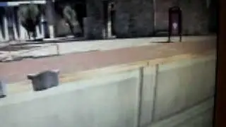 SKATE 2 LAST TRAILER VIDEO 2009