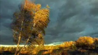 Blumfeld - Der Wind