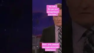 Русский язык в Америке #разрядка #эмоции #напряжение #психология #терапия #животное
