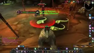 [Quick Guide] Lord Cobrahn Druid Solo Guide SoD - Leggings of the Fang Pre-BiS