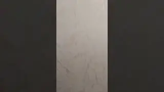 Дезинсекция